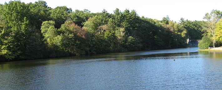 Woodtick Reservoir