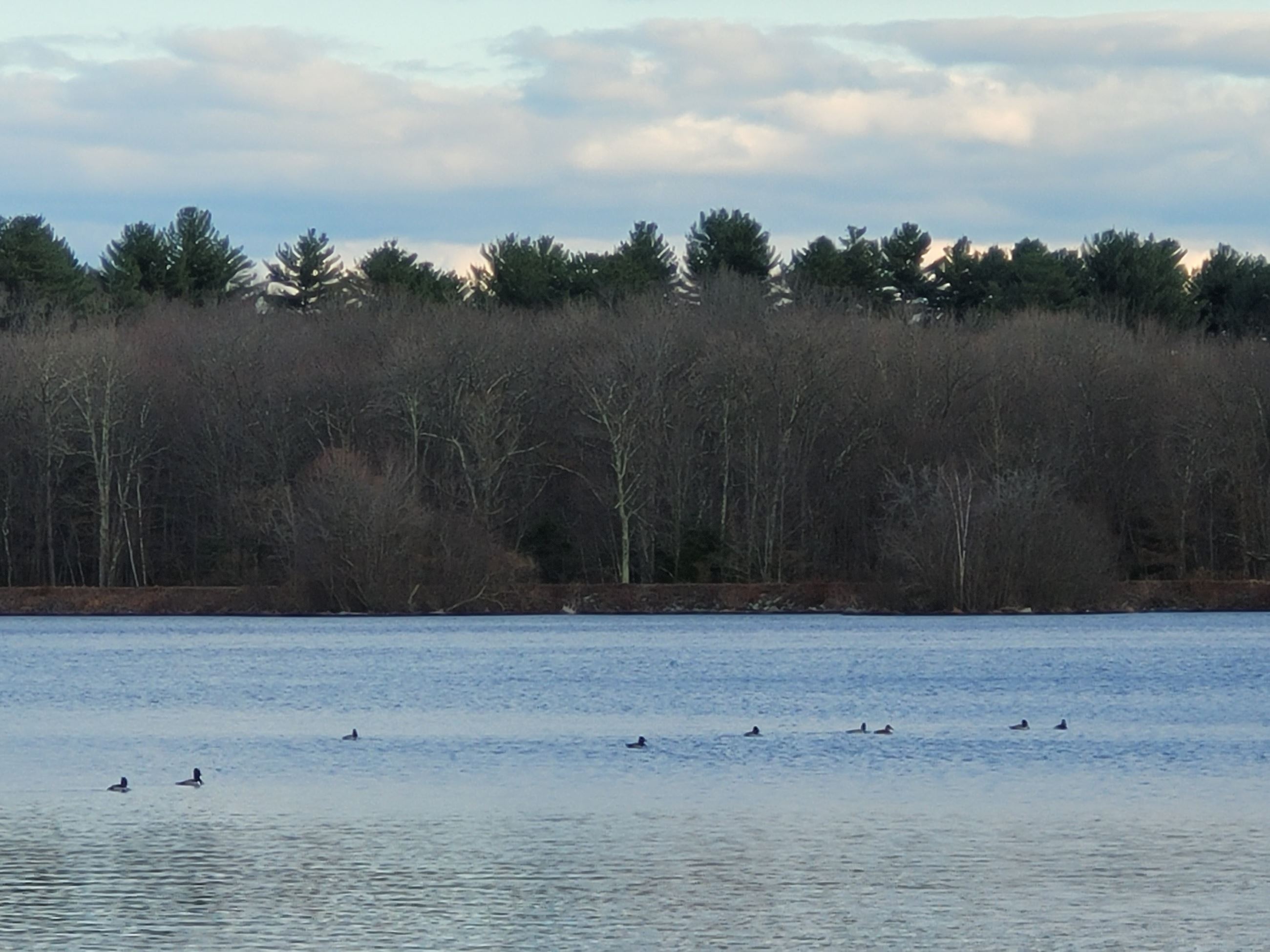 Winter Lake - Christine ONeil